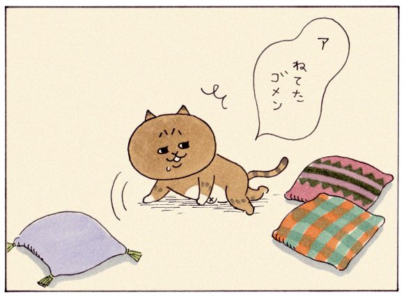 ミィちゃんの部屋 どうも ミィちゃんです ウェブマガジン あき地